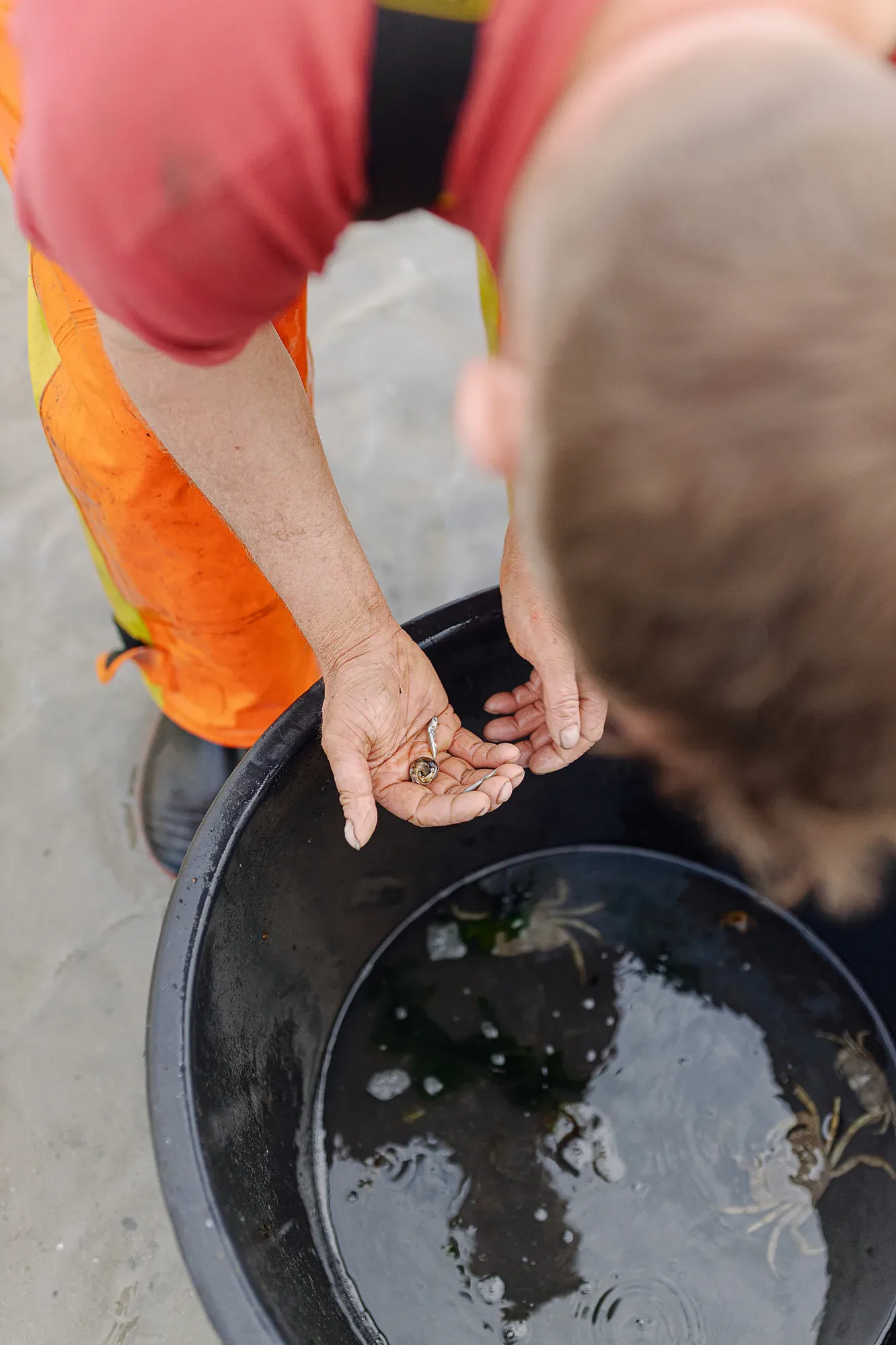 Waddenerfgoedcentrum — 26-1